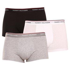 3PACK pánské boxerky Tommy Hilfiger vícebarevné (1U87903841 004) XL