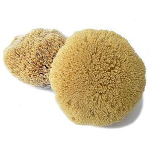 Přírodní mořské houby