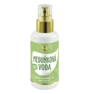 Meduňková voda Bio Purity Vision 100 ml (PURV106)