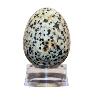Kamenná vejce Kamenné vajíčko - jaspis dalmatin