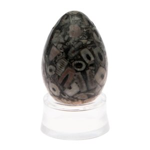 Kamenná vejce Kamenné vajíčko s otvorem - zkamenělý korál