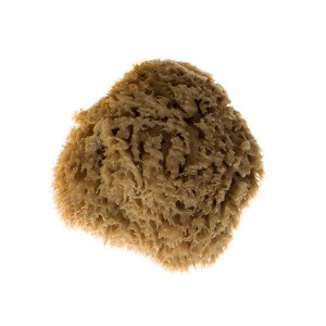 Bellini Kosmetická mořská houba minerální Velikost: 3-4 cm