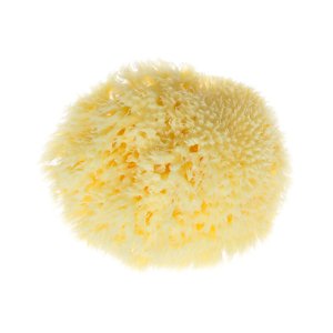 Bellini Mycí mořská houba jaderská Velikost: 11-12 cm